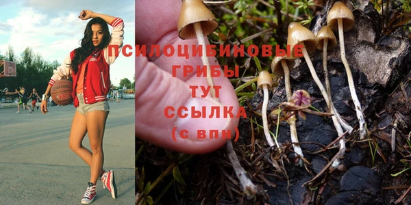 гидра Армянск