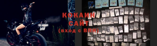 крисы Арсеньев